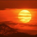 やられたらやりかえす『半沢直樹』とやられてもやりかえさない『沈まぬ太陽』